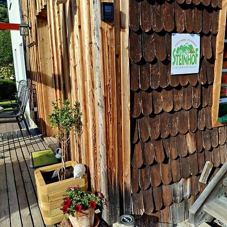 Haus Steinhof Vila St. Lorenzen ob Murau Exterior foto
