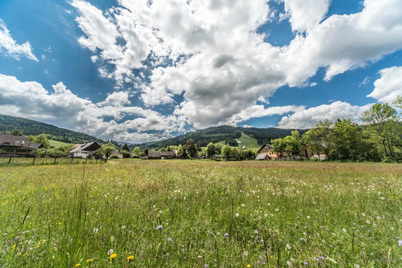 Haus Steinhof Vila St. Lorenzen ob Murau Exterior foto