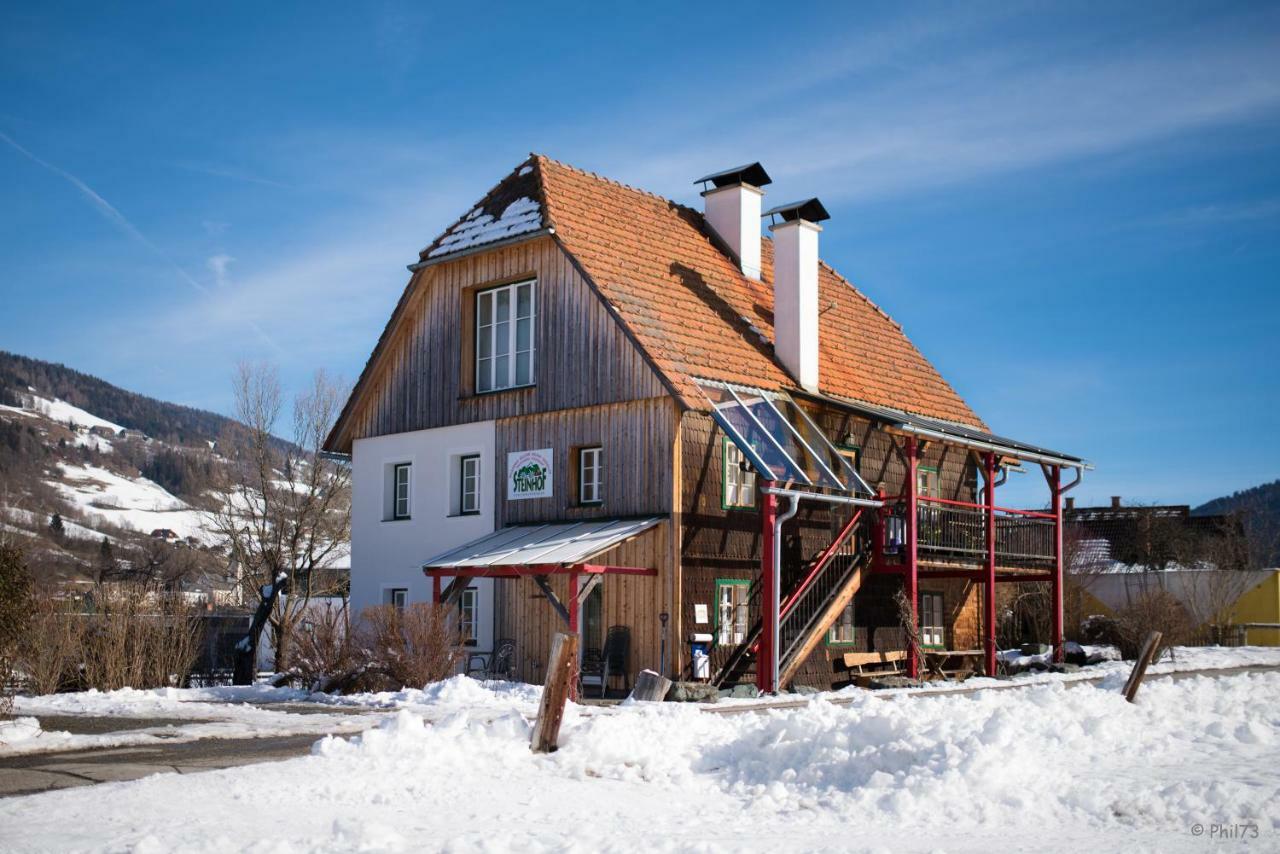Haus Steinhof Vila St. Lorenzen ob Murau Exterior foto